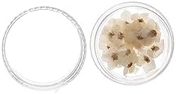 Kopida Natural Forget-Me-Not Dried Flowers Blue and White