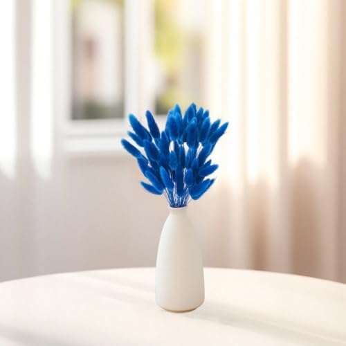 60PCS Blue Dried Bunny Tail Grass for Home Decor