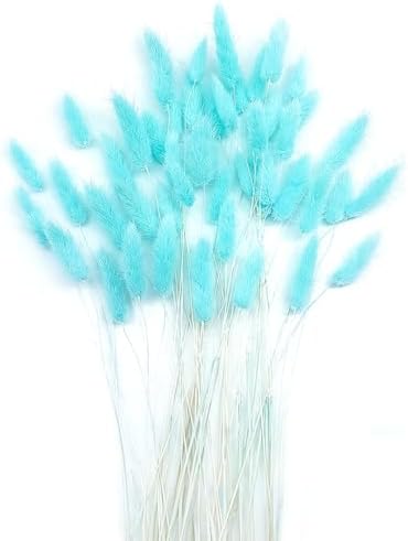Turquoise Dried Bunny Tails 120pcs for Decor and Crafts