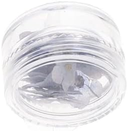 Kopida Natural Forget-Me-Not Dried Flowers Blue and White