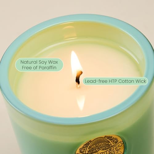 MSENSE Natural Soy Candle - Verbena Basil Green 102 oz 55H Burn