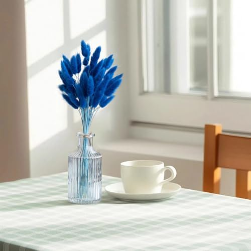 60PCS Blue Dried Bunny Tail Grass for Home Decor