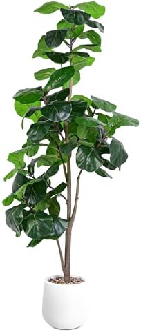 6ft Artificial Fiddle Leaf Fig Tree with White Planter 1