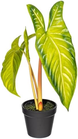 Vickerman 17x12 Artificial Alocasia Potted Plant
