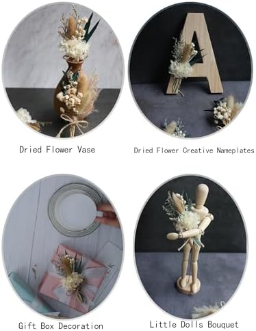 Xins Convey Mini Dried Flower Bouquet Set 12pcs White