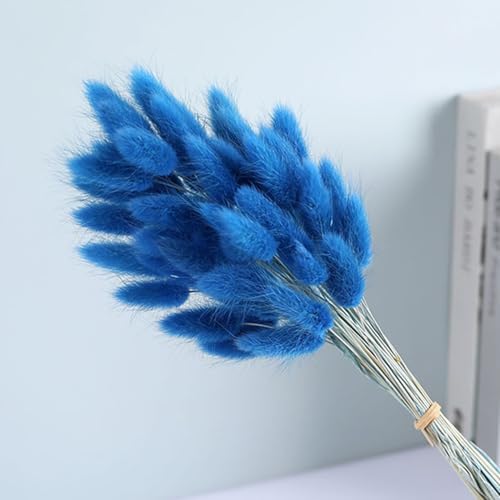 60PCS Blue Dried Bunny Tail Grass for Home Decor