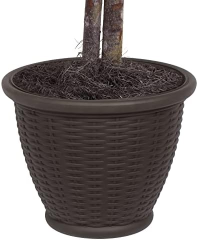 Vickerman 4 Foot Indoor Artificial Capensia Bush