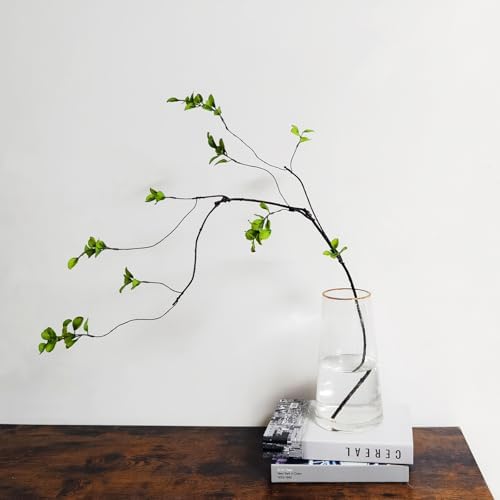 4 Pcs Artificial Ficus Branches for Vase Filler and Centerpiece