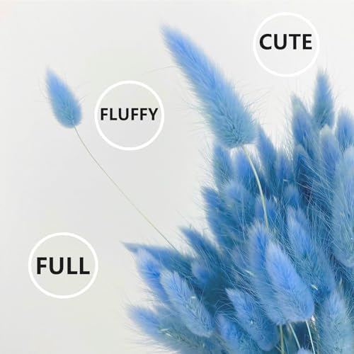 100 Pcs Baby Blue Bunny Tails Dried Flowers 17 Inch