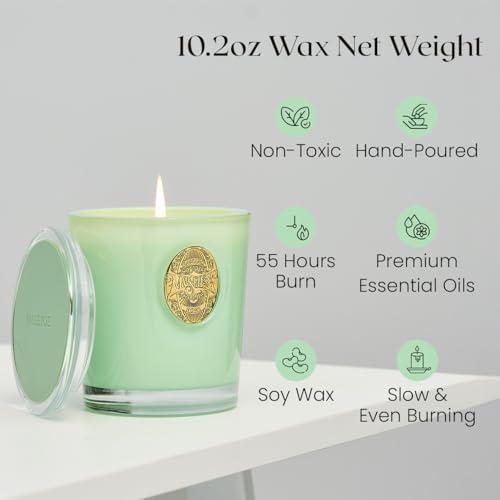 MSENSE Natural Soy Candle - Verbena Basil Green 102 oz 55H Burn