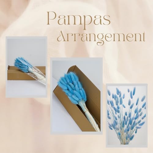 100 Pcs Baby Blue Bunny Tails Dried Flowers 17 Inch