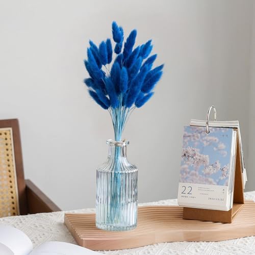 60PCS Blue Dried Bunny Tail Grass for Home Decor