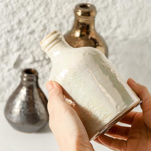 Ceramic Vase Set of 3 Boho Modern Decorative Vases