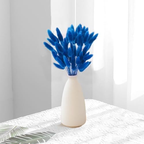 60PCS Blue Dried Bunny Tail Grass for Home Decor