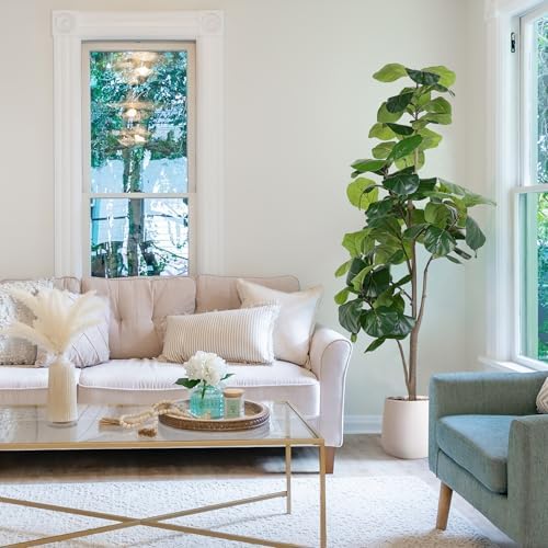 6ft Artificial Fiddle Leaf Fig Tree with White Planter 1