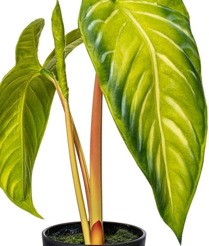 Vickerman 17x12 Artificial Alocasia Potted Plant