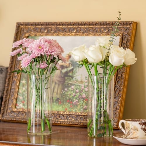 7pcs Glass Cylinder Vases for Centerpieces 8 Inch Tall