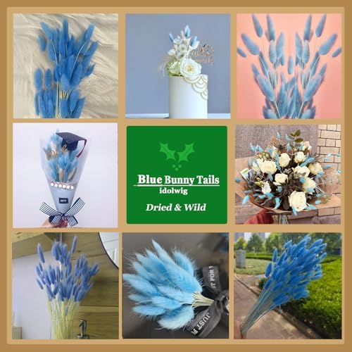 100 Pcs Baby Blue Bunny Tails Dried Flowers 17 Inch
