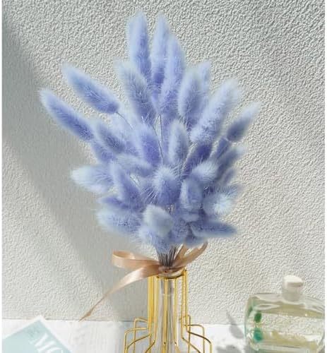 120 Pcs Blue Bunny Tails Dried Flowers Decor