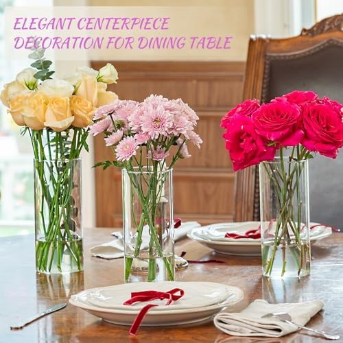 7pcs Glass Cylinder Vases for Centerpieces 8 Inch Tall