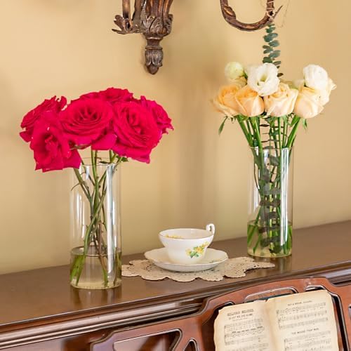 7pcs Glass Cylinder Vases for Centerpieces 8 Inch Tall