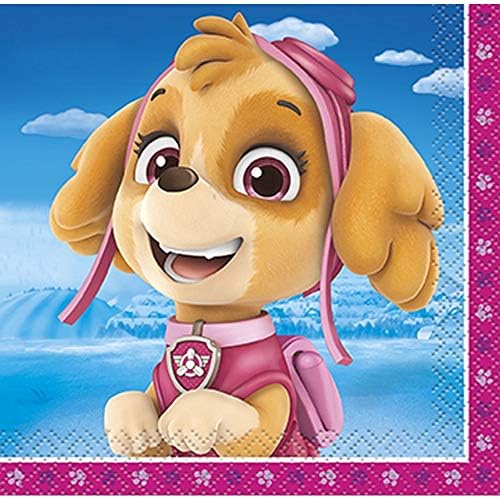 Multicolor Paw Patrol Girl Beverage Napkins 16 Count