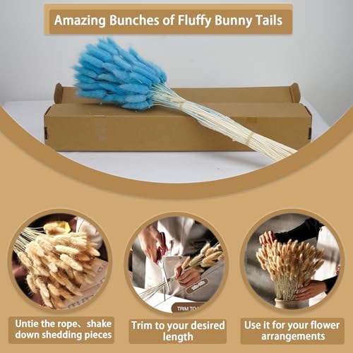 100 Pcs Baby Blue Bunny Tails Dried Flowers 17 Inch
