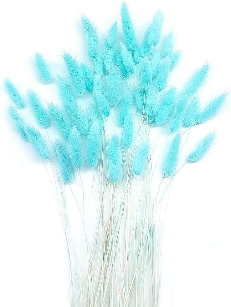Turquoise Dried Bunny Tails 120pcs for Decor and Crafts