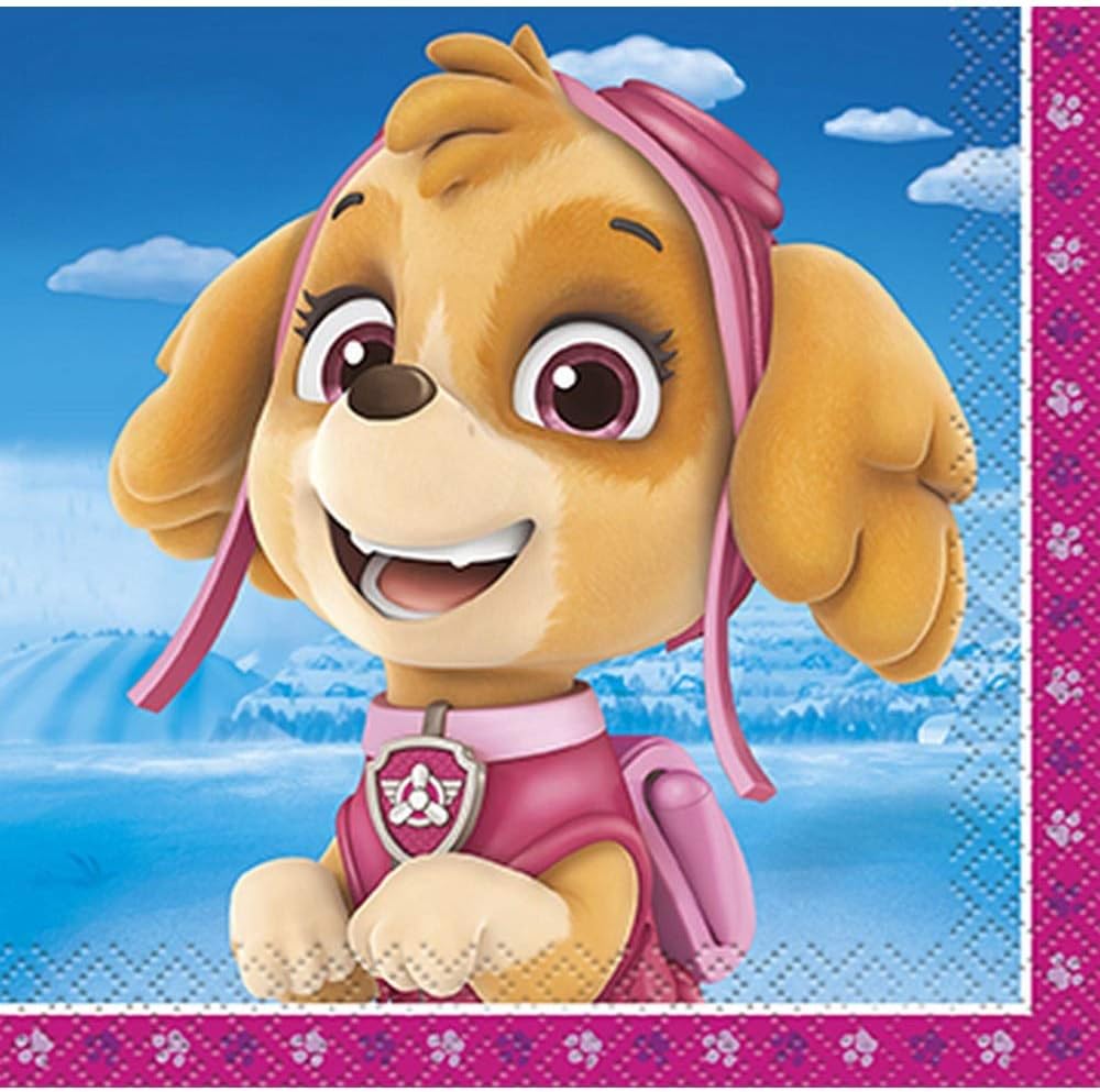 Multicolor Paw Patrol Girl Beverage Napkins 16 Count