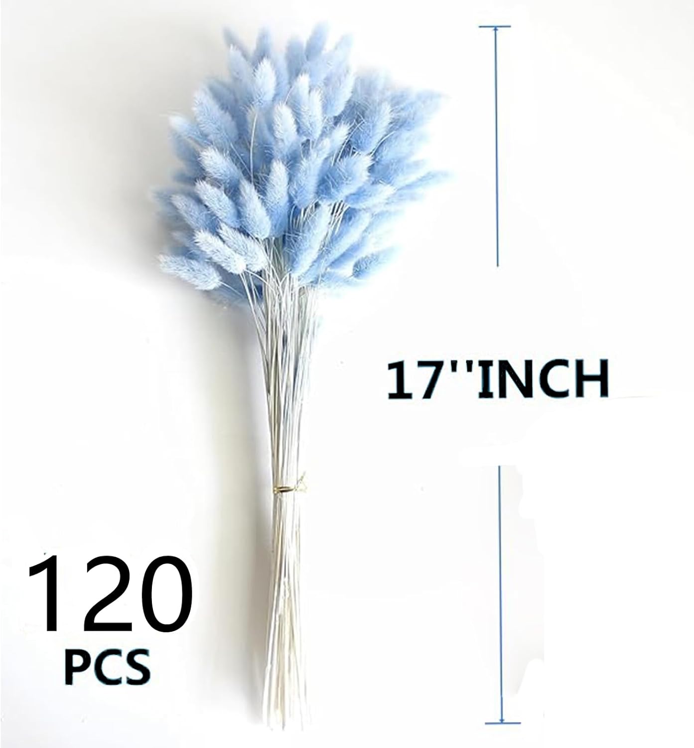 120 Pcs Blue Bunny Tails Dried Flowers Decor