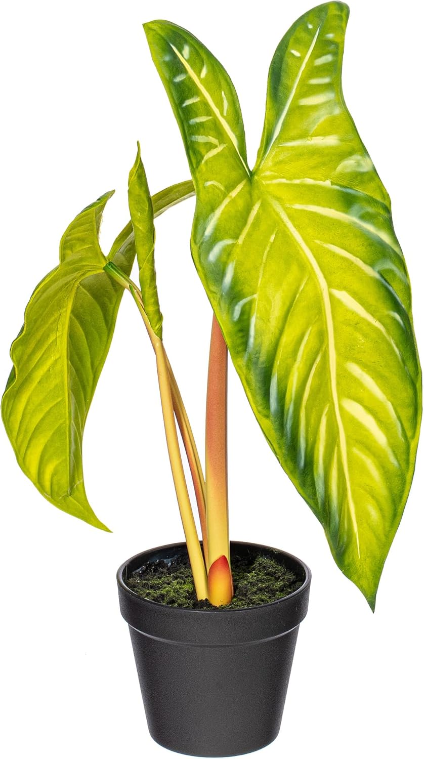 Vickerman 17x12 Artificial Alocasia Potted Plant