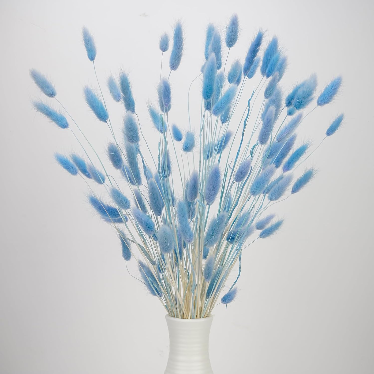 100 Pcs Baby Blue Bunny Tails Dried Flowers 17 Inch