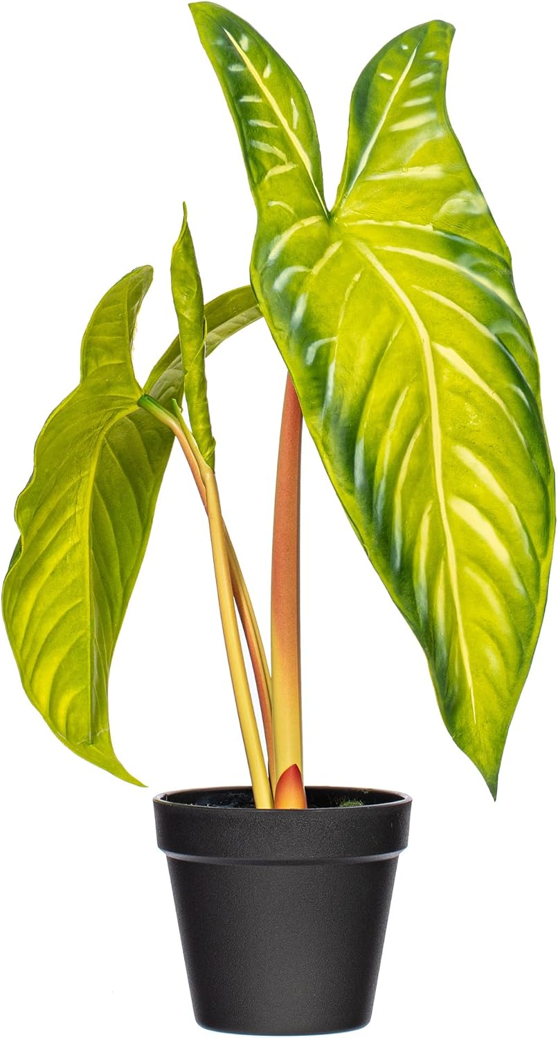 Vickerman 17x12 Artificial Alocasia Potted Plant