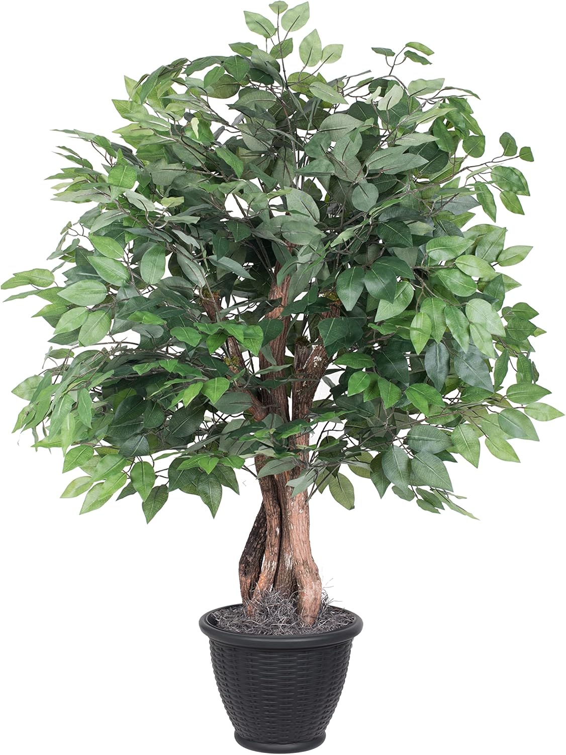 Vickerman 4 Foot Artificial Ficus Bush with Decorative Container