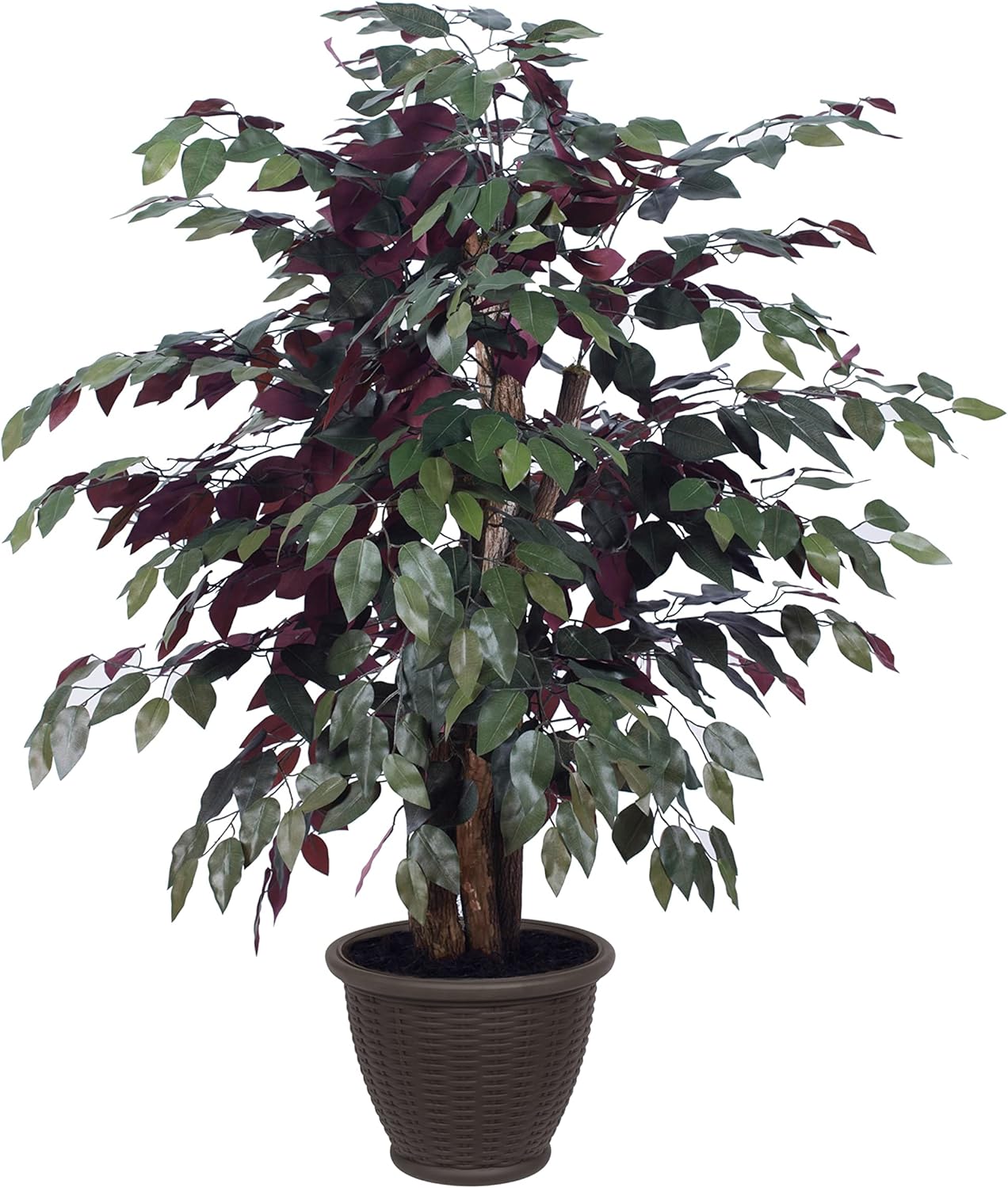 Vickerman 4 Foot Indoor Artificial Capensia Bush