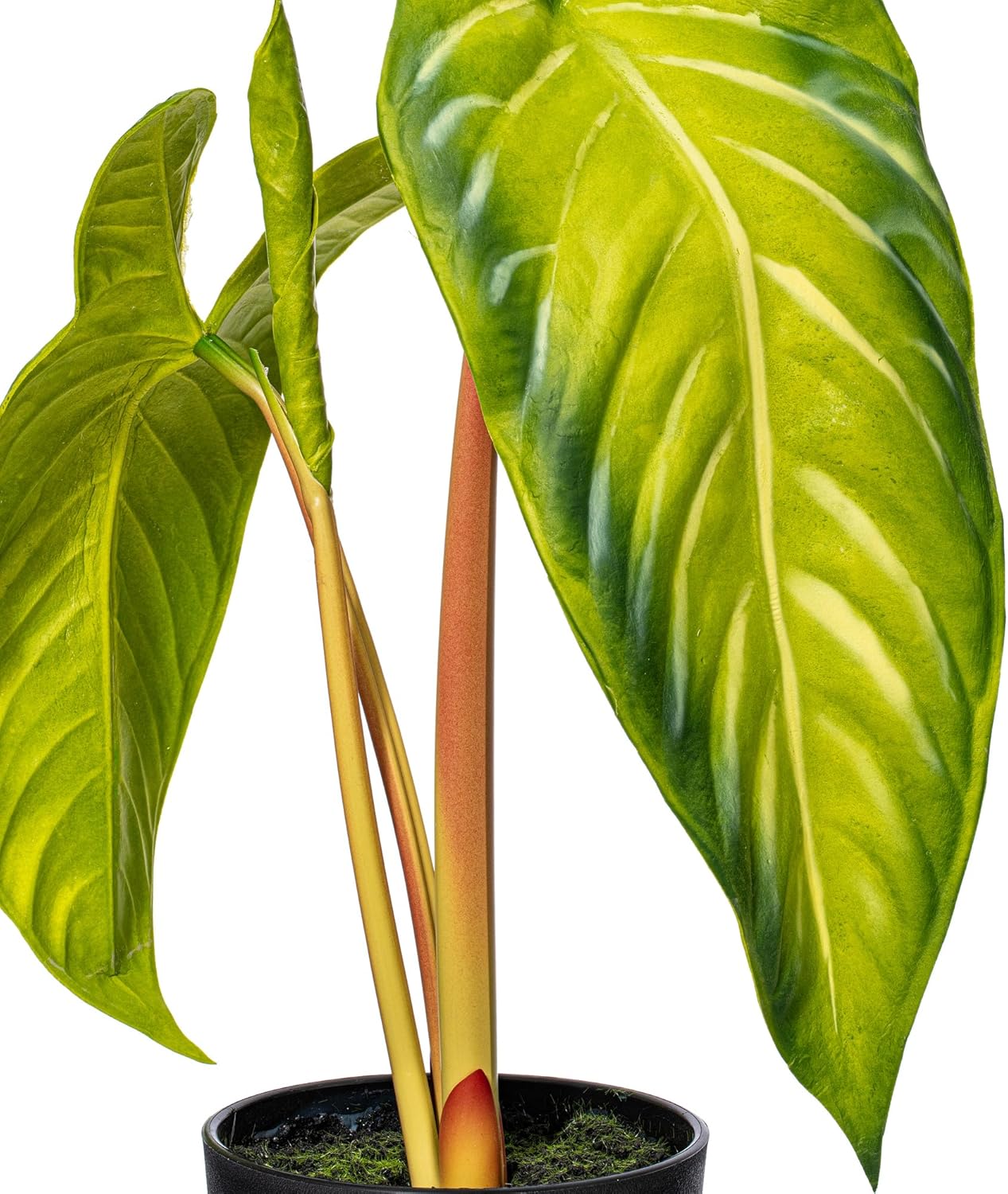 Vickerman 17x12 Artificial Alocasia Potted Plant