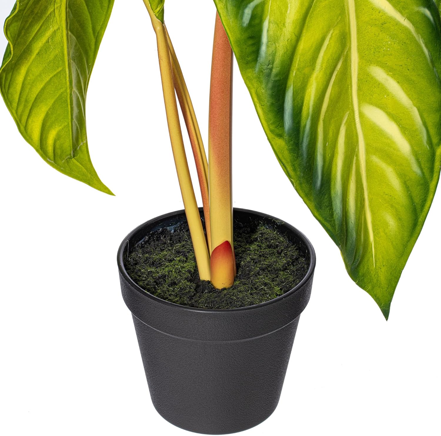 Vickerman 17x12 Artificial Alocasia Potted Plant